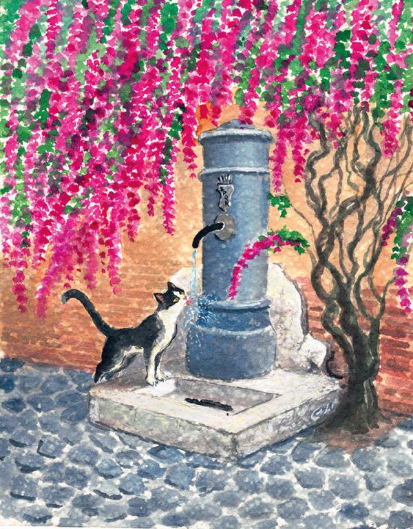 Gatto assetato alla fontanella di Vicolo del bologna - cm 21x26 - € 120,00