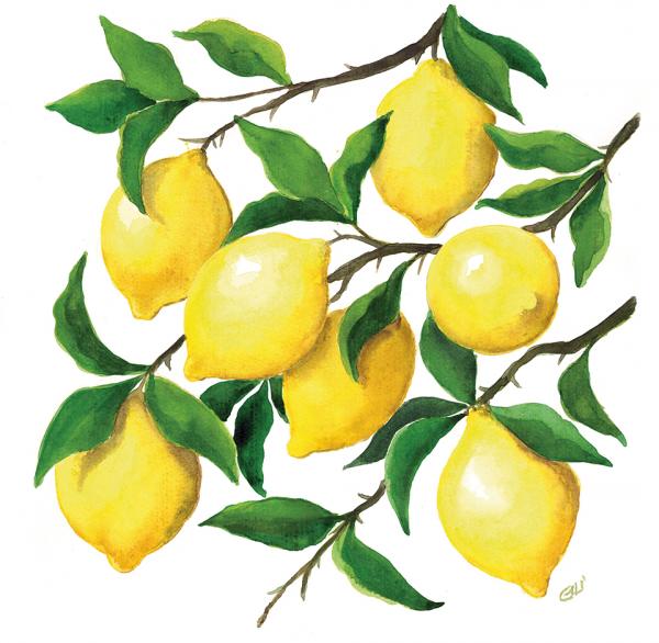 limoni - cm 30x30 - € 120