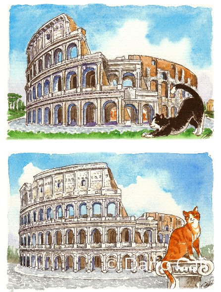 Colosseo e gatti