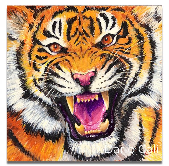 ROAR! - acrilici su legno, mm 5 - cm 20x21,5 - 50