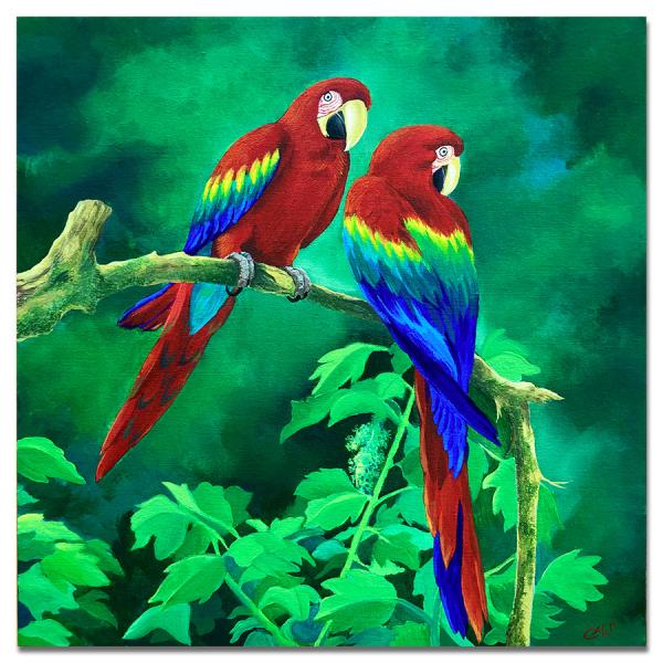 ara macao - acrilici su cartone telato - cm 50x50 - € 250