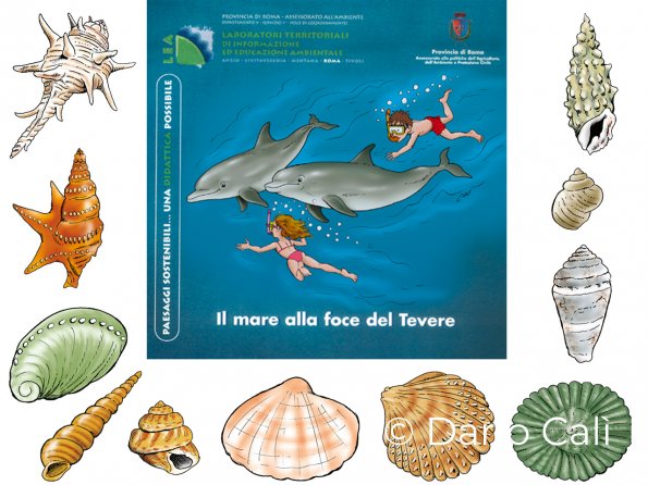 il mare alla foce del Tevere - Lea Roma, Provincia di Roma