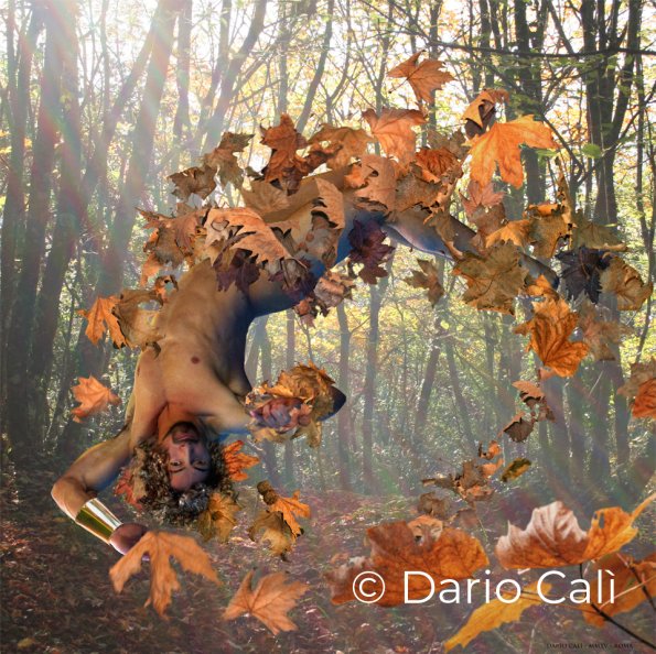 Autunno - cm 50x50 - stampa carta hahnemühle -su forex 0,5 - € 400,00