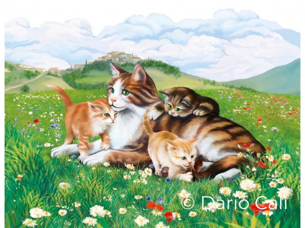 Gattini - Winner Plus pet food